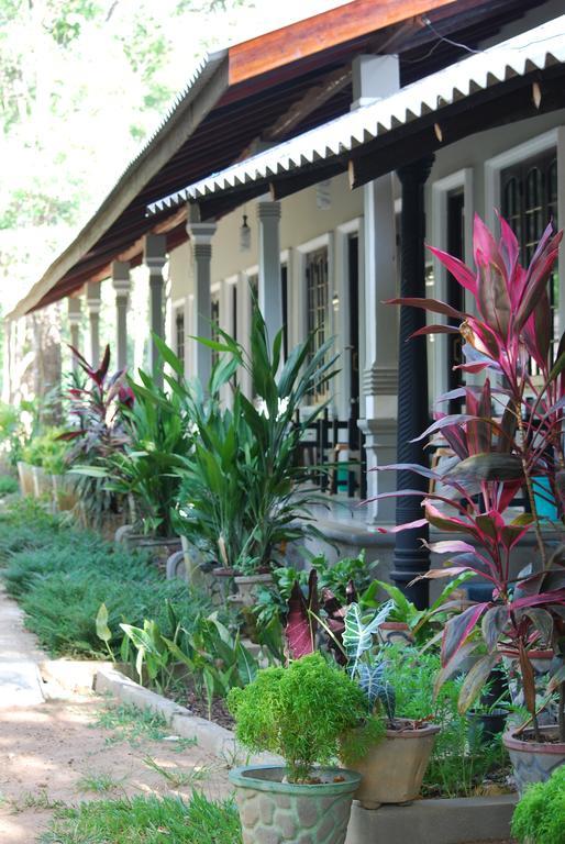 A4 Villa & Spa. Habarana Chambre photo
