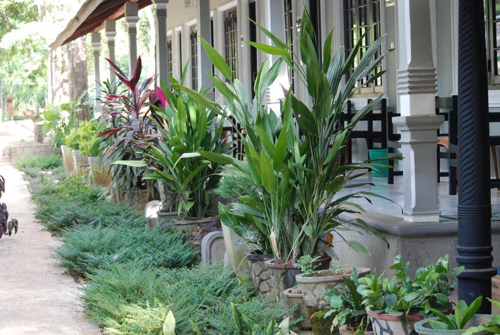 A4 Villa & Spa. Habarana Extérieur photo