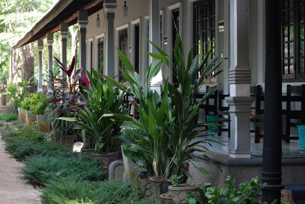 A4 Villa & Spa. Habarana Extérieur photo