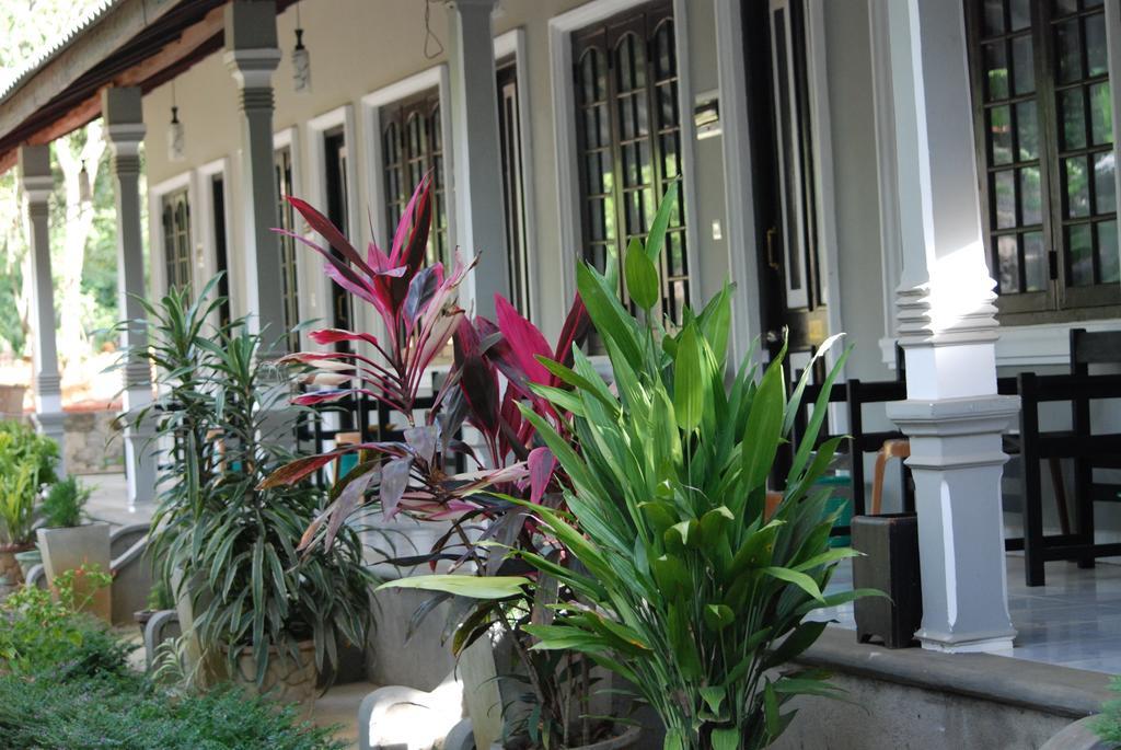 A4 Villa & Spa. Habarana Chambre photo