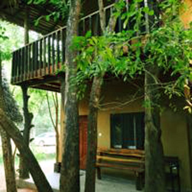 A4 Villa & Spa. Habarana Extérieur photo