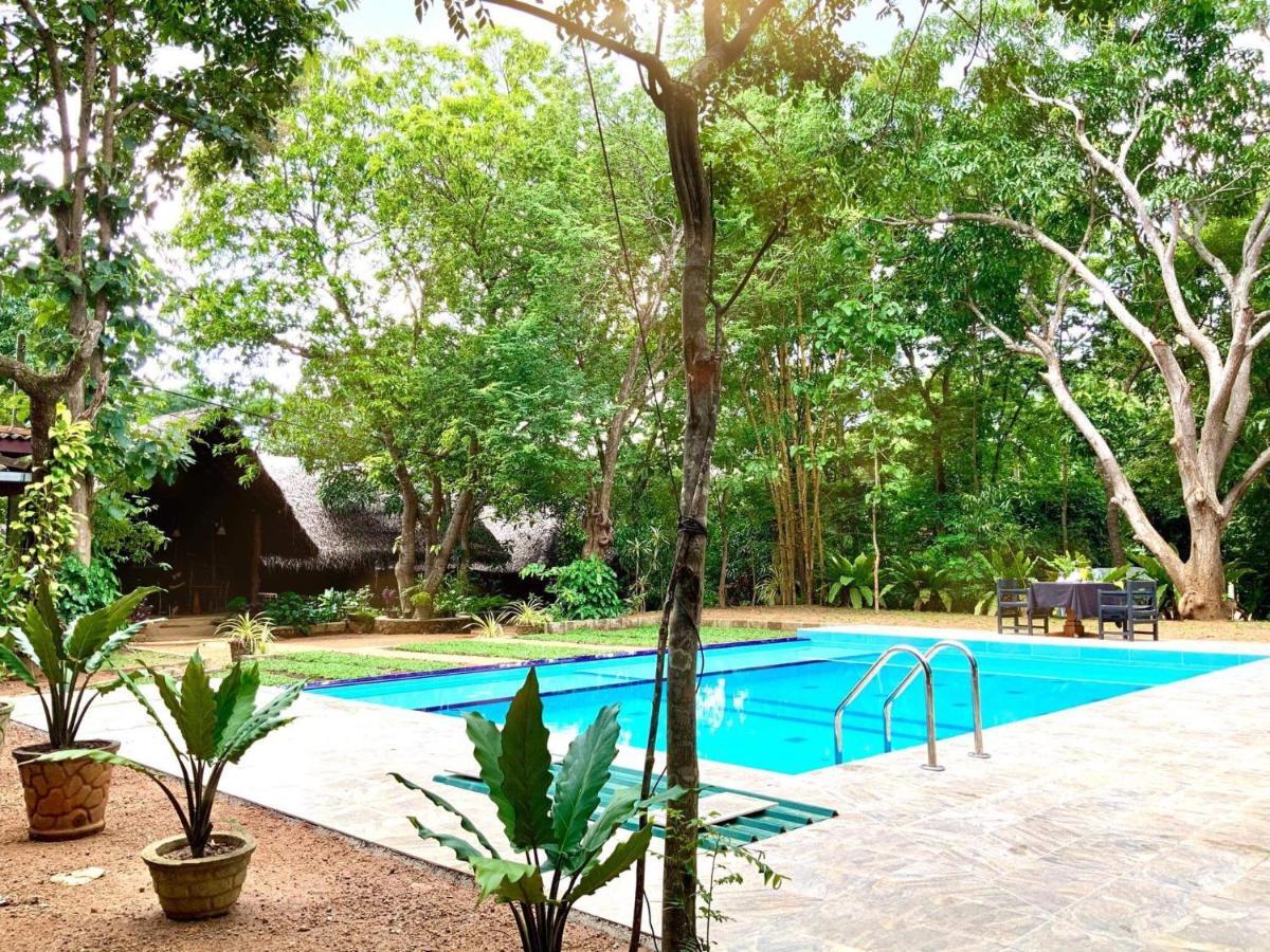 A4 Villa & Spa. Habarana Extérieur photo